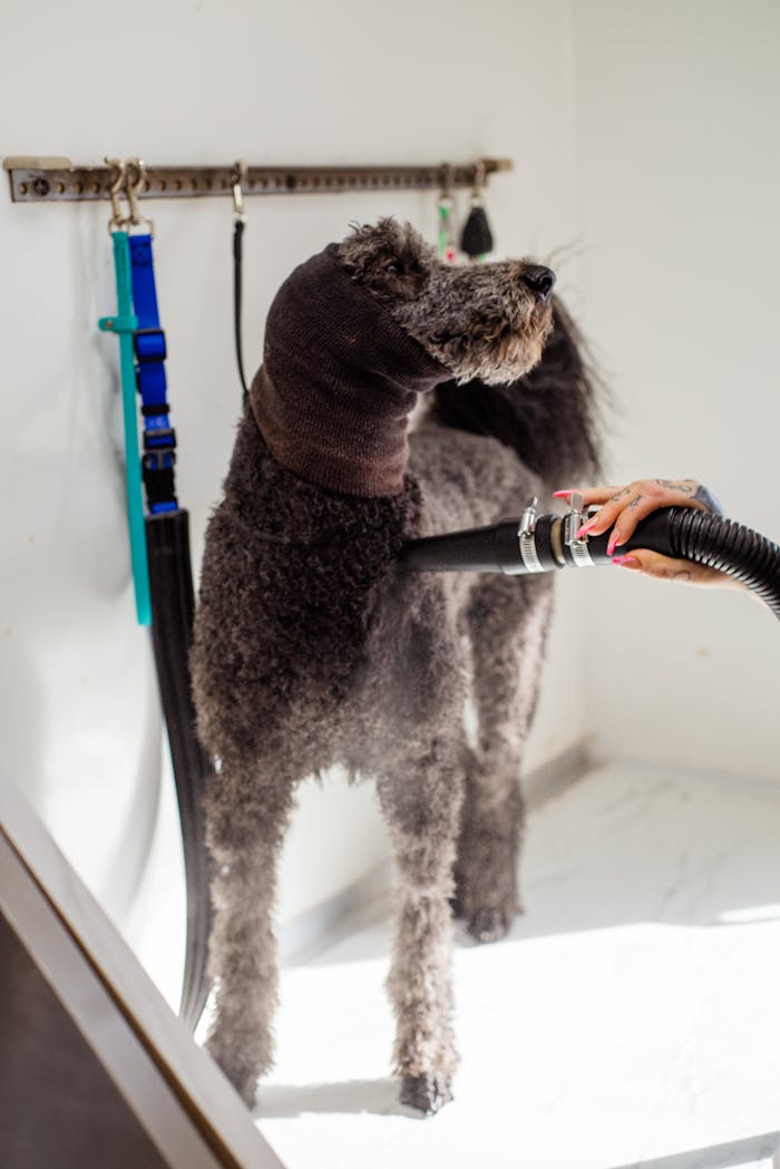 services-01